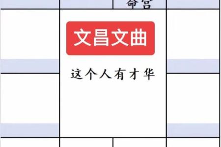 文曲紫薇斗数