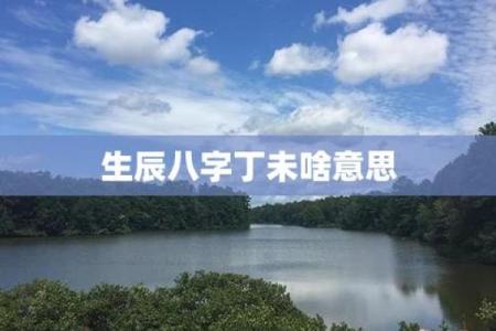 八字有丁未