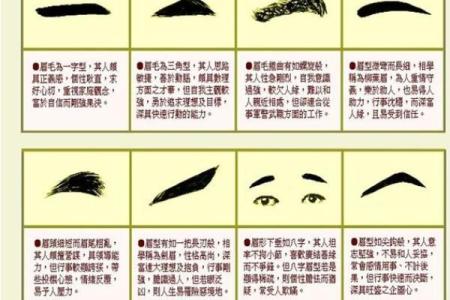眉毛算命