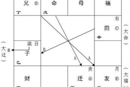 蔡明宏紫薇斗数