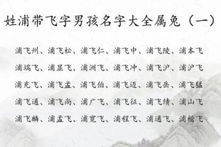 2019年3月28号午时出生的男孩起名方法姓名