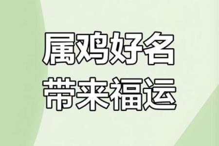 要怎么给早上出生的属鸡男孩取名字姓名