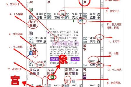 紫薇斗数有什么用