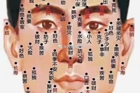 脸上长痣风水 脸上长痣风水学