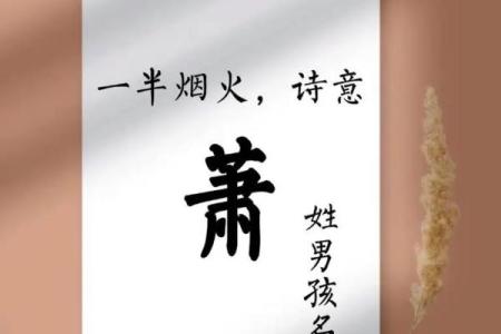 萧姓女孩名字大全-萧姓女孩起名字大全-萧姓名字大全姓名