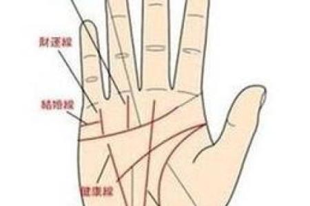 图解：手相棺材纹算命