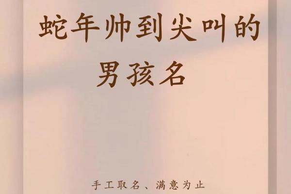 1月份出生的属蛇男孩如何取名姓名