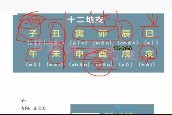 八字乙未日