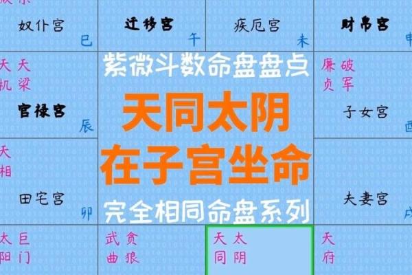 紫薇斗数：天同在戌癸年生女解读
