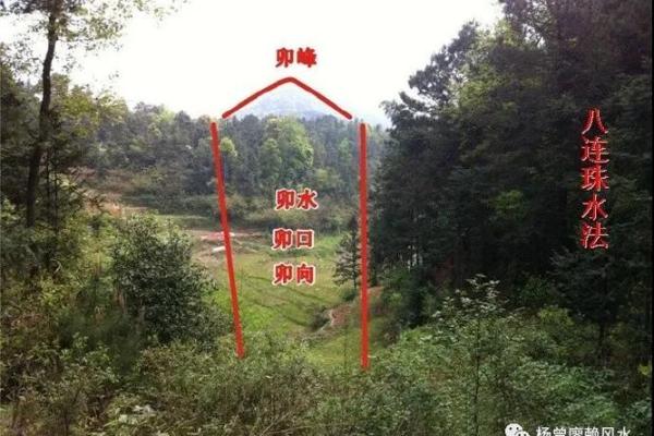 后辈出贵人祖坟风水：贵子之地