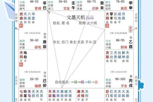 紫薇斗数各宫位