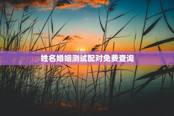 姓名配对姻缘测试准 姓名配对测姻缘免费爱情测试？