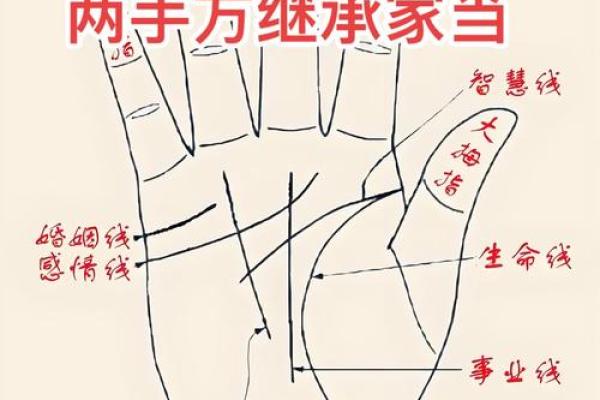 如何通过手相手纹算命-