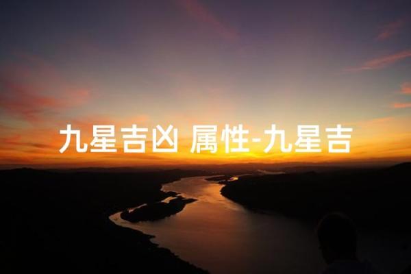 紫薇斗数全集九星