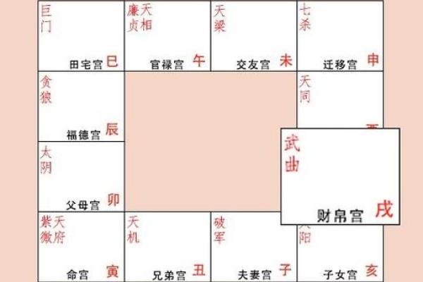 紫薇斗数中哪些属于财星