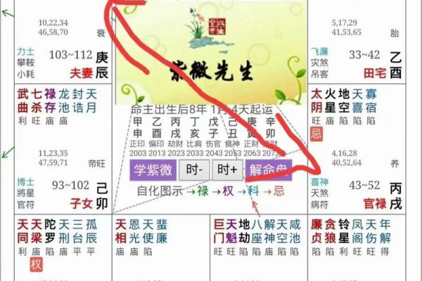 紫薇斗数夫妻宫紫薇庙科