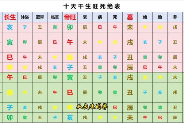 在哪里学八字算命