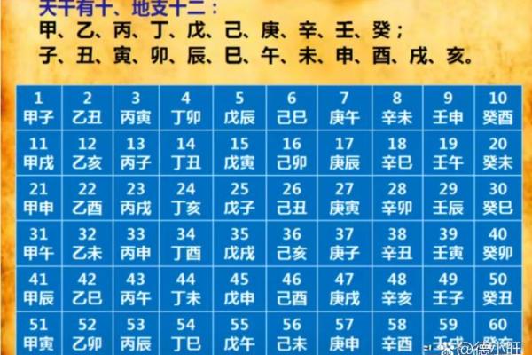 在哪里学八字算命