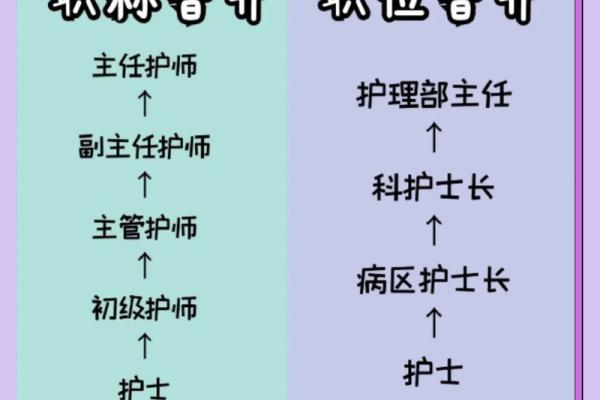 护士八字