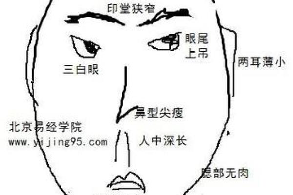 面相算命入门：五色