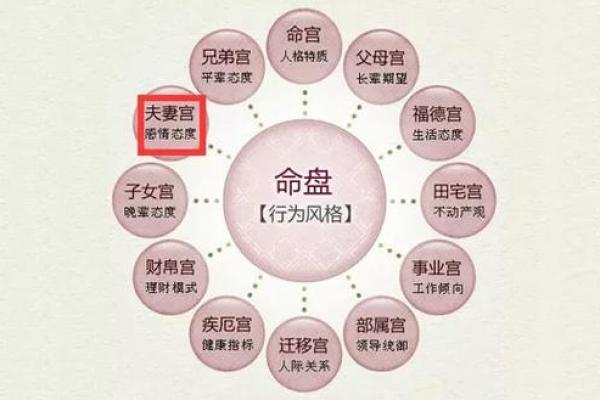 紫薇斗数看再婚