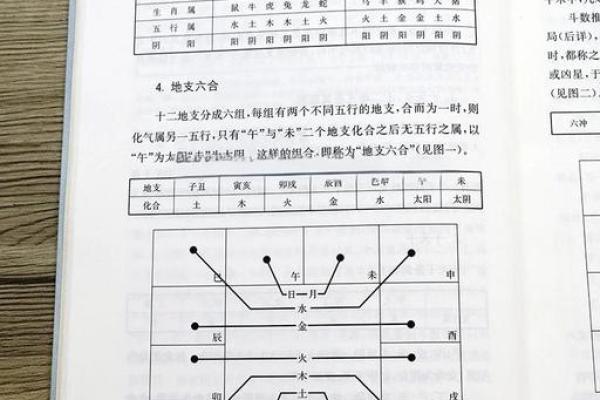 紫薇斗数安星