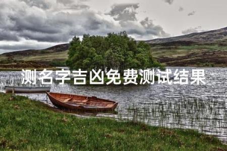 品牌查名字吉凶测试软件,品牌名查询吉凶