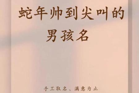 1月份出生的属蛇男孩如何取名姓名