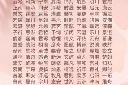 2019年6月16号卯时出生的男孩起名方法姓名
