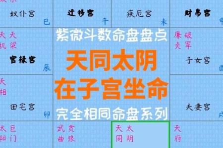 紫薇斗数：天同在戌癸年生女解读