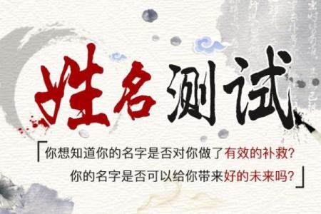 姓名取名字测试打分