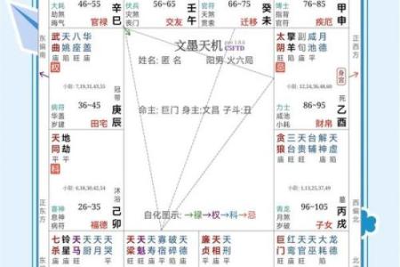 紫薇斗数各宫位