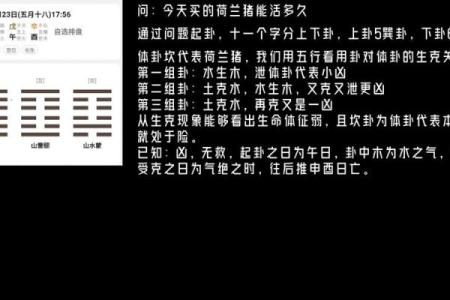 梅花易数六爻测试吉凶详解