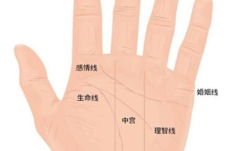 如何通过手相手纹算命-
