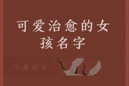 2018年男狗宝宝取什么名字最好？取名常用方法有哪些？-华易网姓名