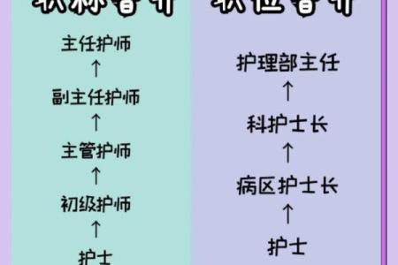 护士八字