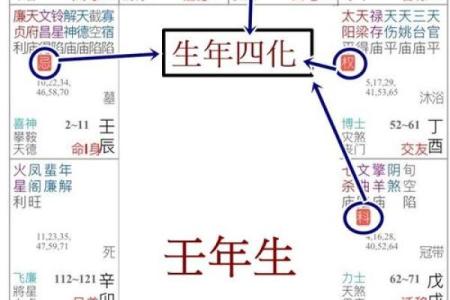 紫薇斗数生年化权入妻宫