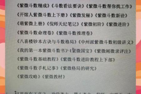 紫薇斗数精成在线阅读