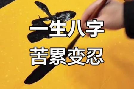 人生八字
