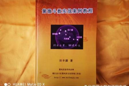 紫微斗数0元课 紫微斗数入门教学讲座视频？