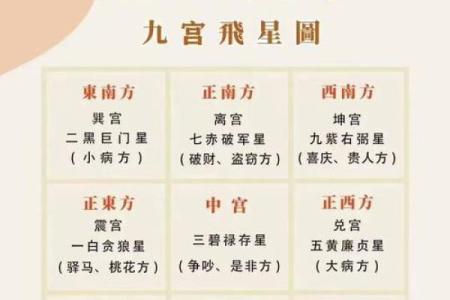 2024年旺财运的最佳方法 家中风水摆放指南