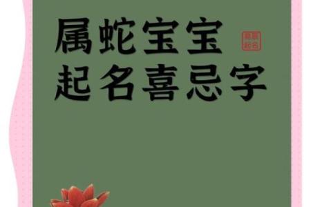4月份出生的属蛇男孩该怎样取名姓名