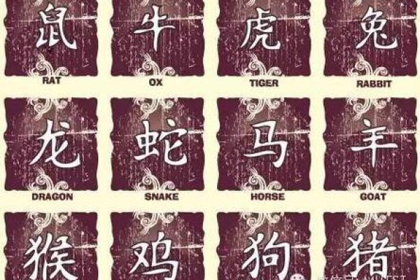 算命说的动婚年龄准吗