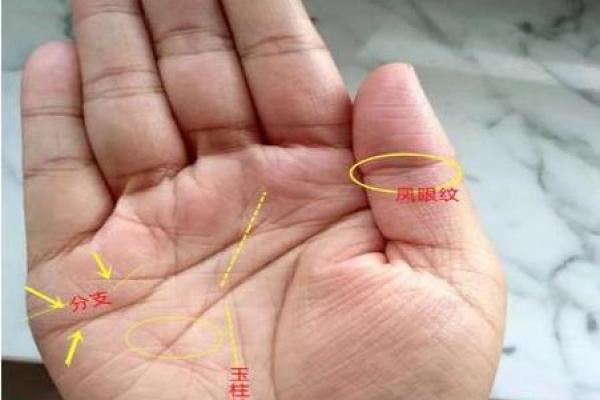 算命说的动婚年龄准吗