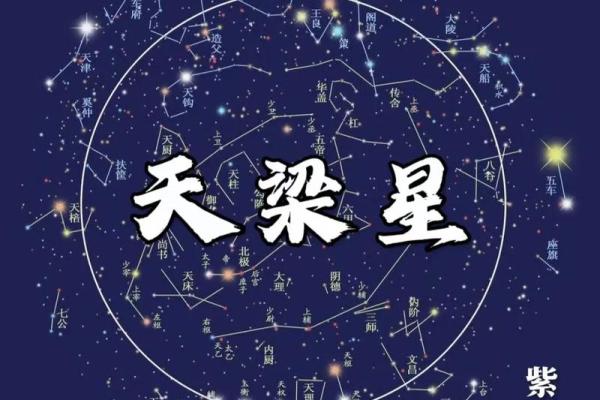 紫薇斗数看样貌