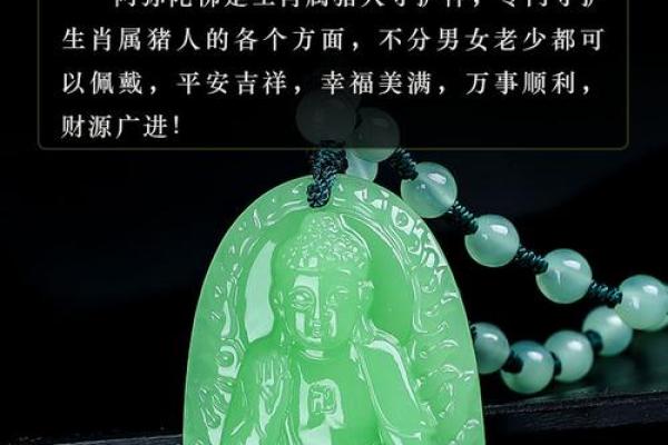 属猪的能带千手观音吗