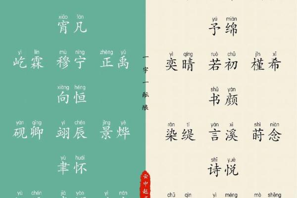 2019年4月29号寅时出生的男孩应该起什么样的名字姓名