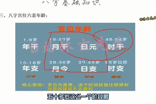 八字宫位详解信息