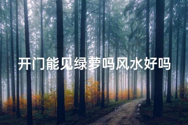 绿萝风水_进门看绿植好吗