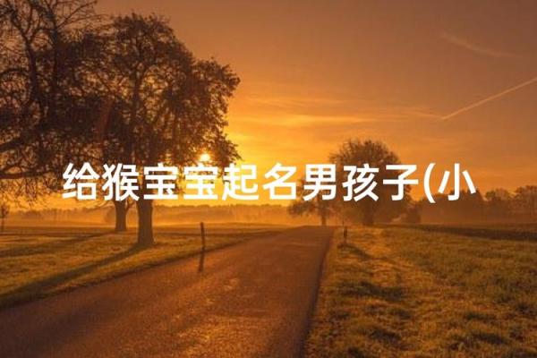 4月份出生的属猴男孩如何取名-姓名